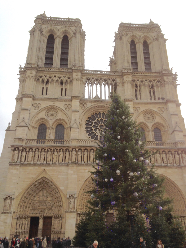 Notre-Dame とクリスマスツリー