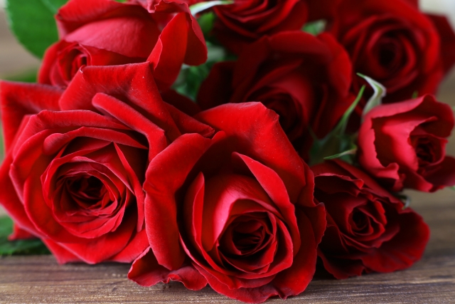 フランス人は 特別な日じゃなくても愛する人に赤いバラを送る 名古屋市クラリネット奏者yukiha